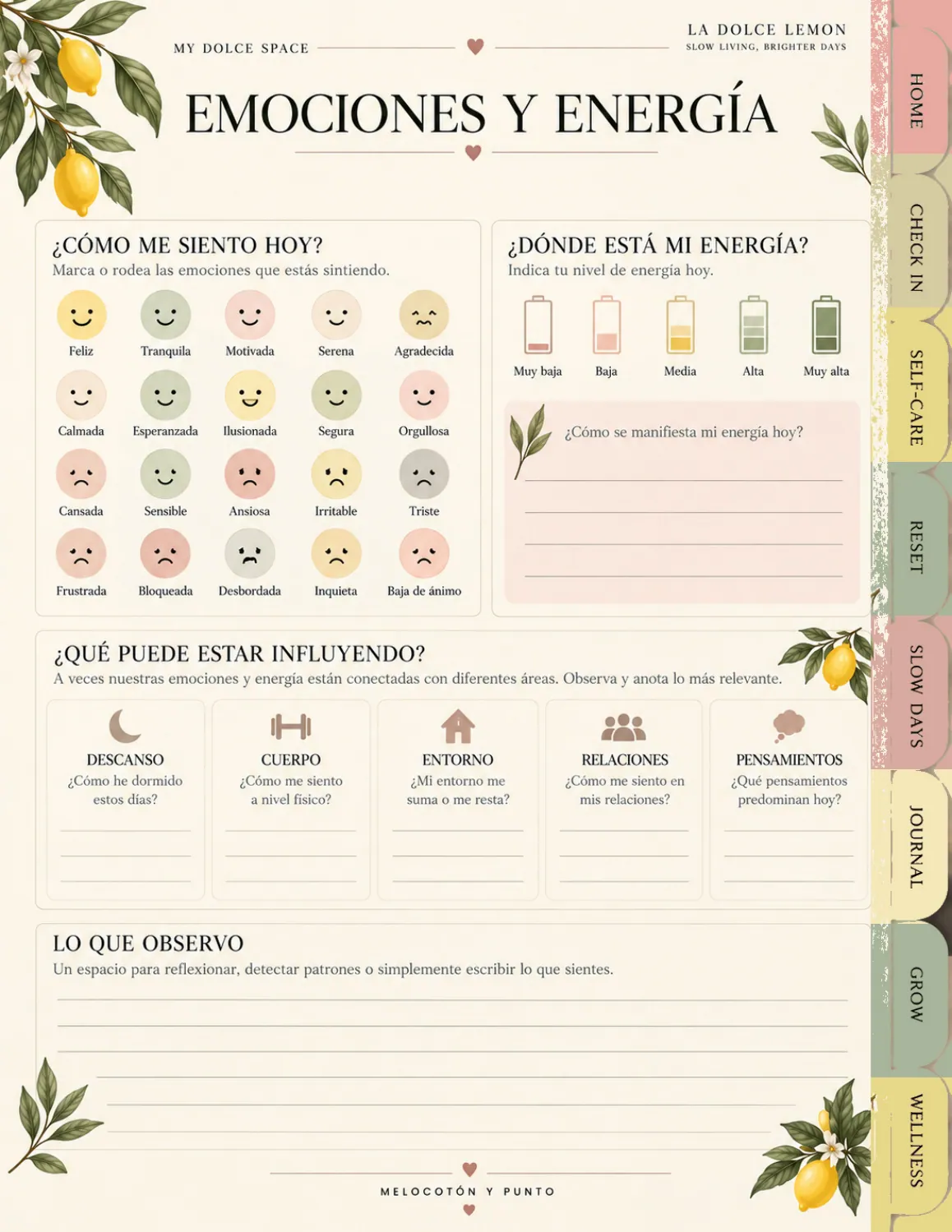 Página original: Emociones y energía